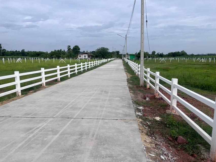 ขายที่ดินโฉนด(สด-ผ่อน) บ้านหนองใยบัว อ.โพธาราม ราชบุรี 300 ตร.วา 600,000 บาท 4
