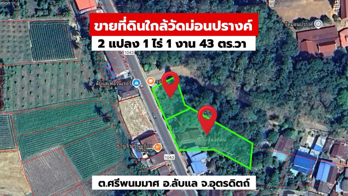 ขายที่ดินหน้ากว้าง ติดถนน รวม 2แปลง 1 ไร่ 1 งาน 43 ตร.วา ใกล้วัดม่อนปรางค์ อ.ลับแล จ.อุตรดิตถ์ 1