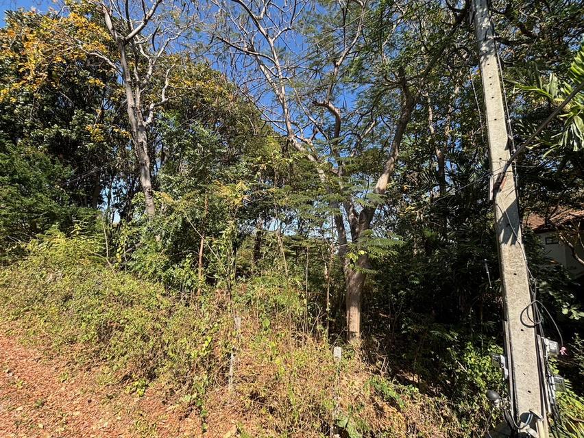 ที่ดินเปล่า โครงการภูริพิมาน ปากช่อง 3