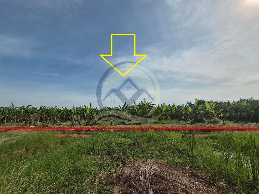 ขาย ที่ดินเปล่า 1-1-33 ไร่ ( 533 ตร.ว. ) ซ.บึงบอน 11 ถ.รังสิต-นครนายก  จ.ปทุมธานี  14