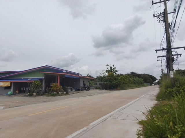ขายที่ดินบ้านบึงชลบุรี ขายที่ดินถมแล้วใกล้ตัวเมืองบ้านบึง 365 ตรว. เหมาะปลูกบ้าน ทำบ้านขาย ห้องแถว โกดัง 4