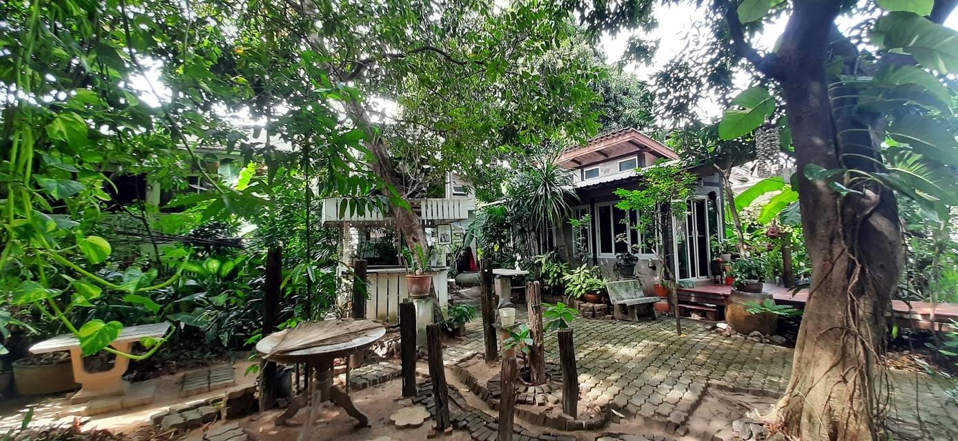 "ขายครับเจ้าของขายเอง"🏡บ้านสวนตลิ่งชัน พุทธมณฑลสาย1/22 พร้อมสิ่งปลูกสร้างบ้าน3หลัง1หลังสร้างด้วยไม้สักทองครับเนื้อที่235ตร.ราคาขาย40M. 3