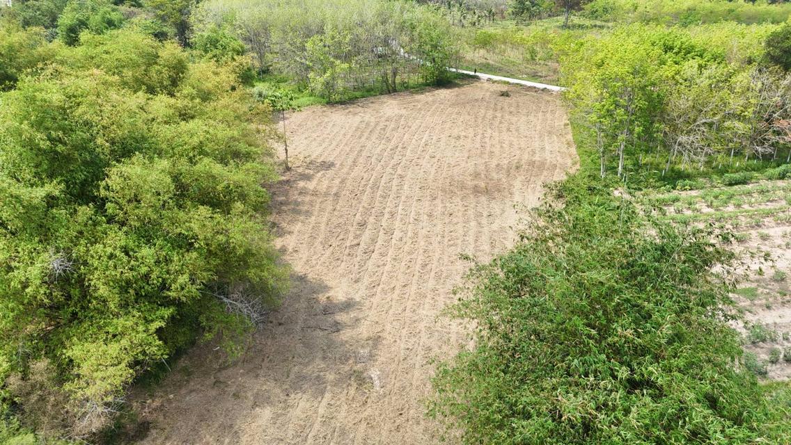 ขายที่ดินเปล่า 4-2-50 ไร่ ทำเลศักยภาพ ติดคลองกระเฉท น้ำไหลตลอดปี ใกล้นิคมอุตสาหกรรม ต.มาบข่า ระยอง 3