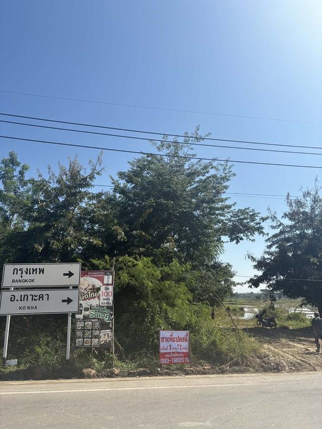 ที่ดินติดถนนใหญ่ใกล้วัดพระธาตุลำปางหลวง 3