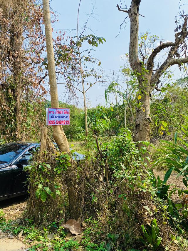 รูป Land for sale and rent Thoen District, Lampang Province ขาย/ ให้เช่าที่ดิน ที่ดินติดถนน ต.ล้อมแรด อ.เถิน จ.ลำปาง 2