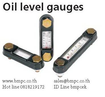 Steel oil level gauge แท่งมองระดับน้ำมัน, Amecoil, Schnorr, Fujilock