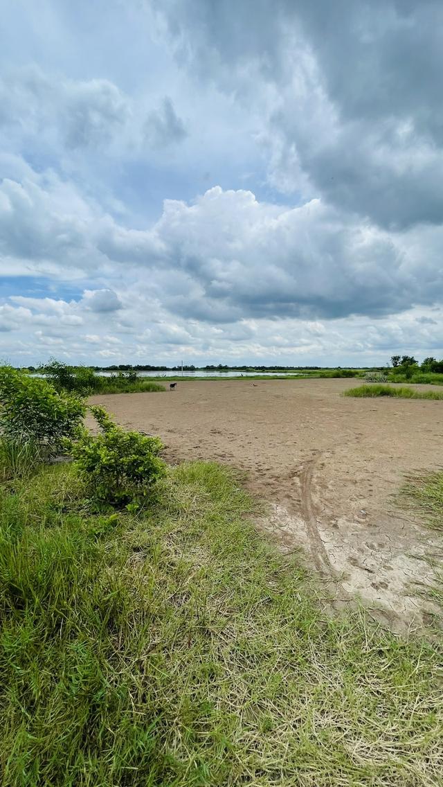 ขายที่ดินนครนายก (คลอง 15) เนื้อที่ 22-0-67.6 ไร่ 6