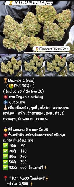 กัญๆ📲💯 6