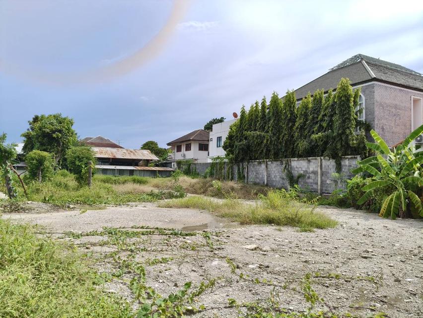 ขายที่ดินสุขุมวิท101 ปุณณวิถี39 ที่ดิน382ตร.ว ขาย 95,000/ตร.ว หน้ากว้างติดถนน 53ม. ใกล้รถไฟฟ้าBTSปุณณวิถี อุดมสุข เข้าออกได้ศรีนครินทร์ บางนา สุขุมวิท 2