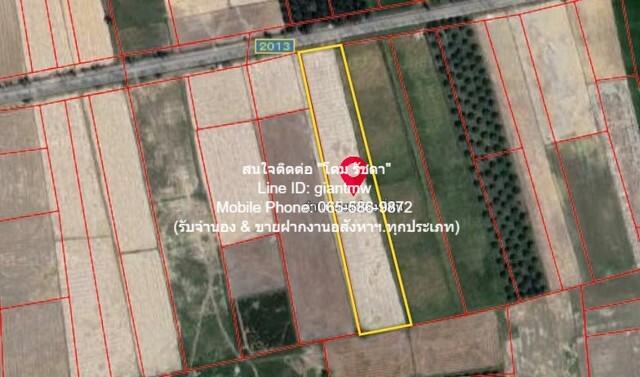 พื้นที่ดิน ที่ดินทุ่งนา (วิวเขา) ต.ชัยบุรี อ.เมืองพัทลุง จ.พัทลุง 7-2-10 ไร่ 7 Rai 2 Ngan 10 ตาราง-วา 4000000 บาท. ทำเล-