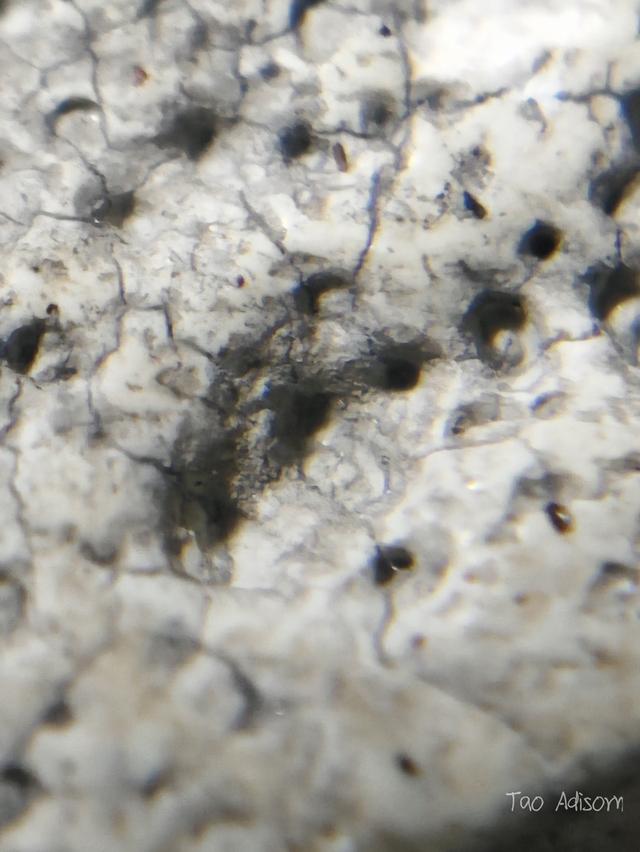 พระสมเด็จวัดระฆังโฆสิตาราม 10