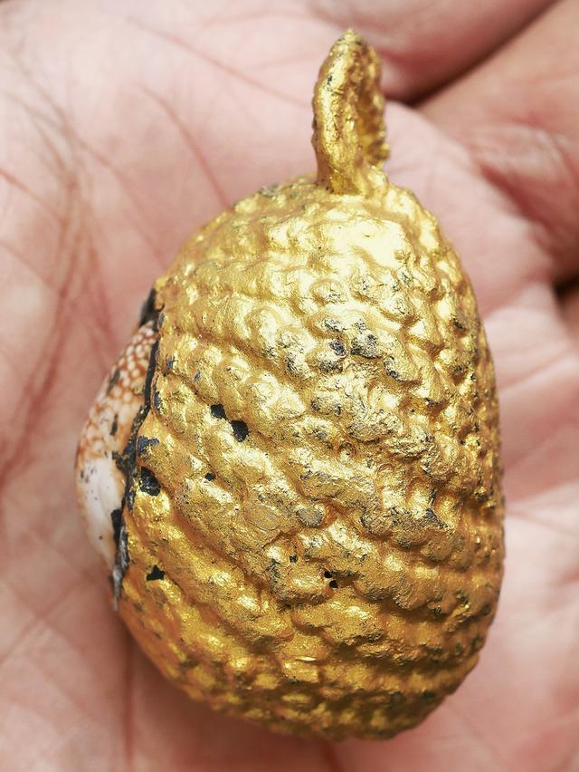 เบี้ยแก้จักรพรรดิ์ รุ่นมหาจักรพรรตราธิราช หลวงปู่หมุน ฐิตสีโล อายุ 108 ปี พ.ศ.2545..เก่า เดิมๆ 7