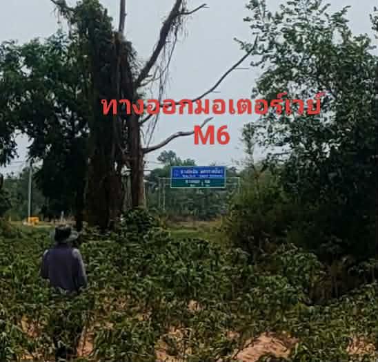 ขายที่ดินทางออกมอเตอร์เวย์ M6 1