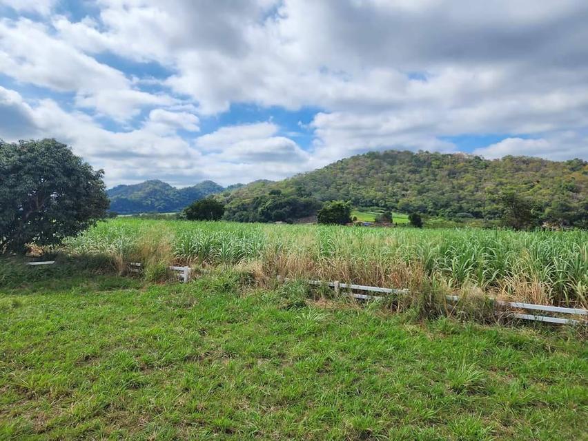 ขายที่คลองม่วง ปากช่อง เขาใหญ่ 2ไร่ วิวเขาสวยมาก ใกล้ภูเขา ที่สูงบรรยากาศดี มีชุมชนเพื่อนบ้านตากอากาศ ไม่เปลี่ยว ใกล้เส้นหนองสาหร่าย 0879074045 3