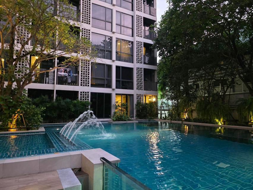 ขาย/ให้เช่า คอนโด Chambers On Nut Station : Pool Access Rare item ห้องเดียวของโครงการ เงียบสงบ BTS อ่อนนุช 300ม. 19