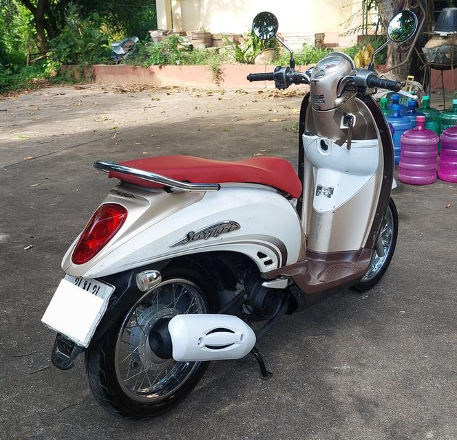 scooy i