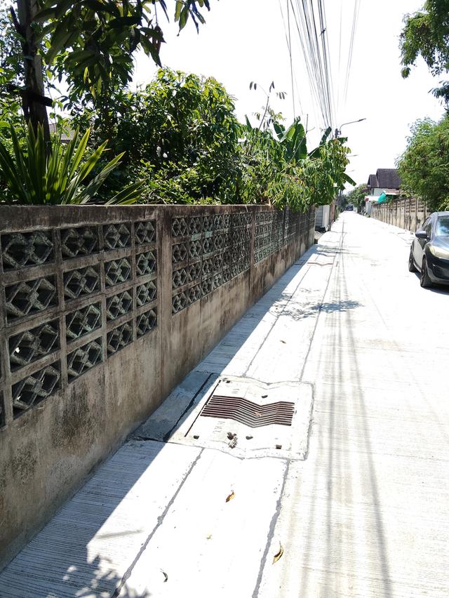 ที่ดินเปล่า61ตรว.อยู่ซ.ประสิทธ์4/2เข้าซ.200เมตรหน้าซ.ติดถนนบางบอน4เข้าได้2ทาง 3