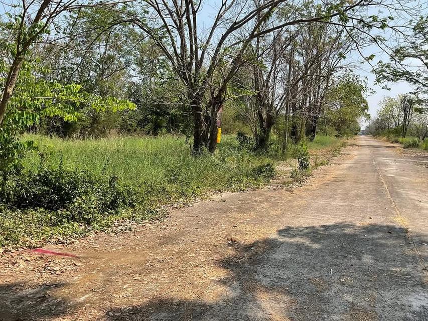 ขายราคาประเมินทีดิน 100 ตารางวา ติดถนนคอนกรีต รังสิต-นครนายก อ.ธัญบุรี จ.ปทุมธานี 7