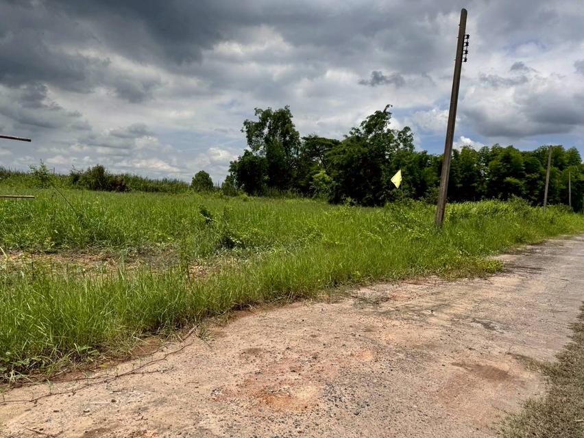 ขายที่ดินสวย ฉลองกรุงการ์เด้น ซอยวัดอู่ตะเภา ตรงข้าม FBT ฉลองกรุง (N.1753)