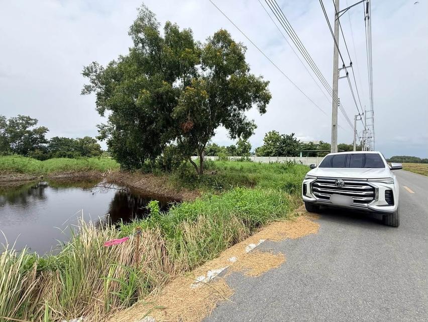ขายด่วนที่ดิน 2 ไร่ ปากชอยมีเซเว่น ติดถนนลาดยาง ชอยคลองสี่ตะวันออก 54 คลองหลวง ปทุมธานี 5