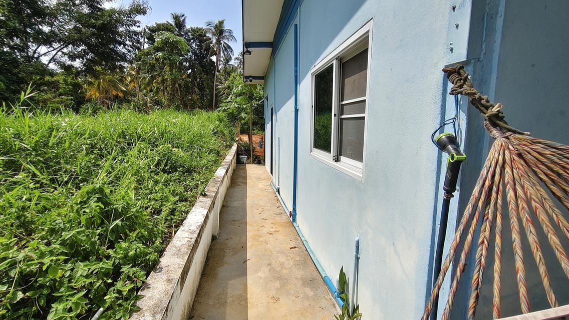 Koh Chang lovely 3bd 2ba House for sale รูปที่ 15