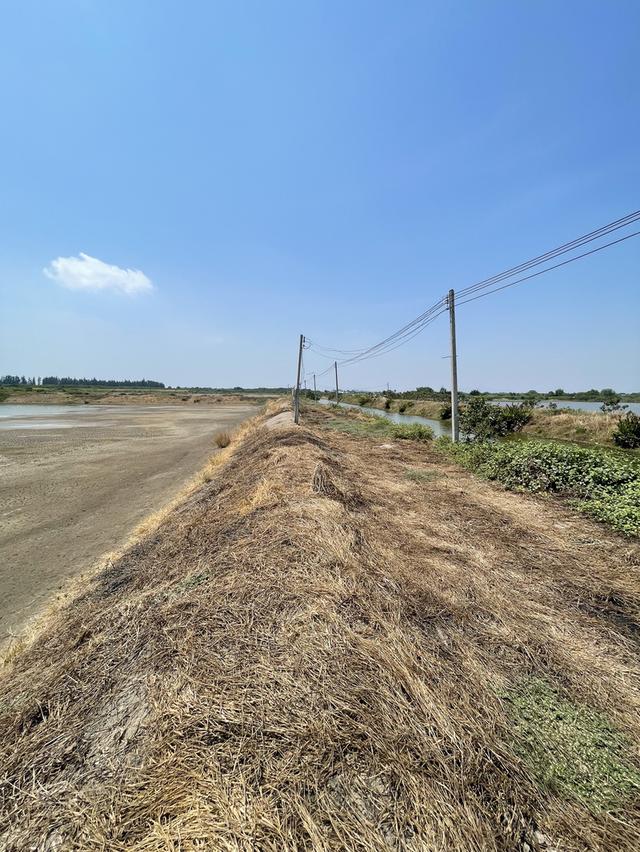 ขายที่ดินแปลงใหญ่ เพชรบุรี 200 ไร่ 10