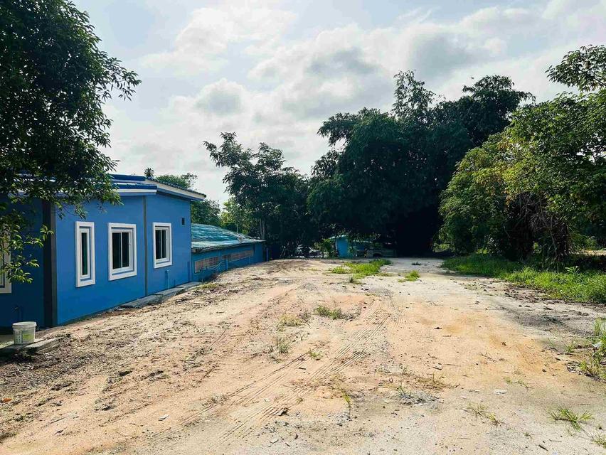 ขายที่ดินแม่น้ำคู้ถมแล้ว 120 ตรว. ใกล้นิคมWHA4(แยกพวงมาลัย)-2กม. อ.ปลวกแดง จ.ระยอง 1