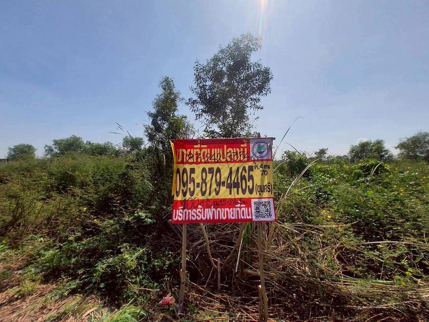 🔊Vายถูก‼️ที่ดิน 100 ตารางวา💢ติดถนนลาดยางสาธารณะ 📌 คลองสี่ ตะวันออก70 อ.คลองหลวง จ.ปทุมธานี 4
