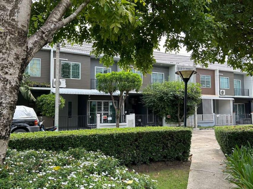 ทาวน์โฮม 2 ชั้น รีโนเวทใหม่ สวยมาก พร้อมอยู่ หน้าบ้านติดสวนส่วนกลาง อารียา เดอะคัลเลอร์ส เฟส 3 วงแหวน-รามอินทรา 3