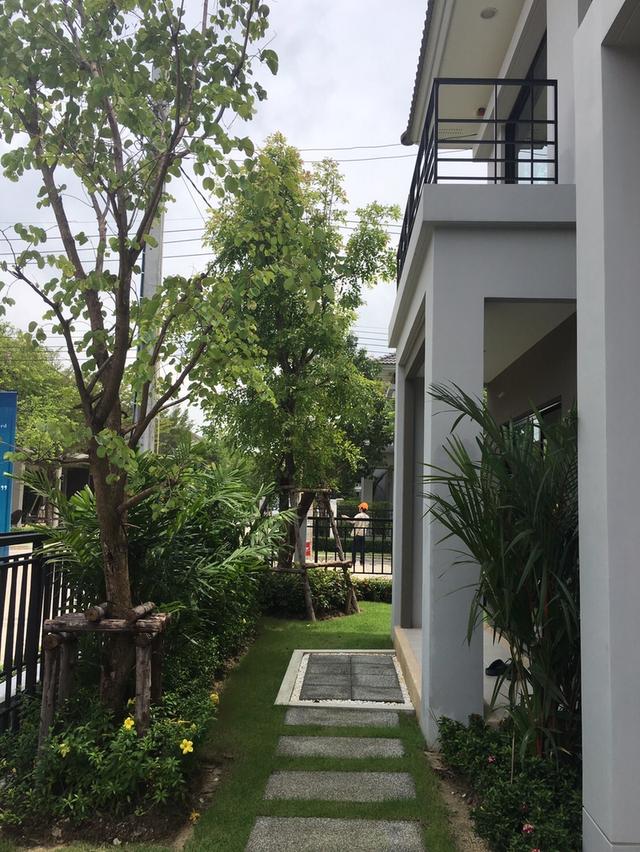 บ้านเดี่ยวพร้อมที่ดิน 13