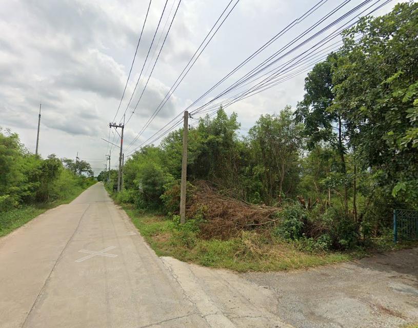 ขายที่ดินบางเตย แปดริ้ว 5 ไร่ ซอยอบต. ใกล้ถนนวงแหวนเลี่ยงเมือง365-6กม. เมืองฉะเชิงเทรา 4