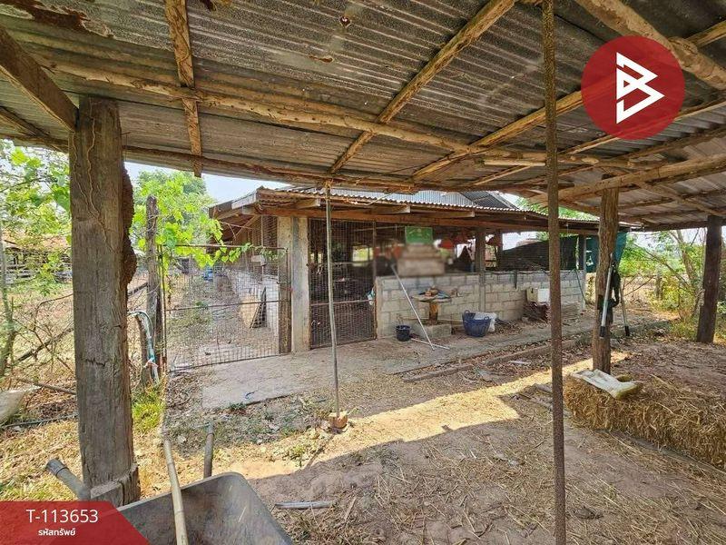 ขายที่ดินพร้อมสิ่งปลูกสร้าง ติดถนนใหญ่ เนื้อที่ 12 ไร่ 2 งาน 79.0 ตารางวา ถนนทางหลวงชนบท ตำบลหมากแข้ง เมืองอุดรธานี 6