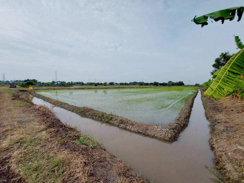 ขายที่ดินเปล่า ซอยเพิ่มสุข 2 ตำบลคลองควาย อำเภอสามโคก จังหวัดปทุมธานี 4