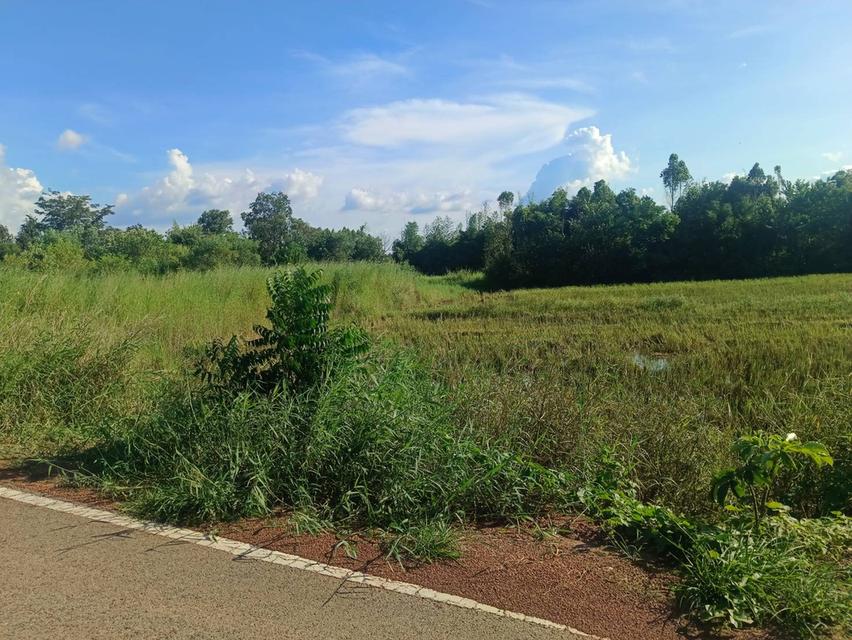 ขายที่ดินนนทรี 2 ไร่ ติดถนนลาดยางใกล้ถนนสุวรรณศร33-4กม. อ.กบินทร์บุรี ปราจีนบุรี 1