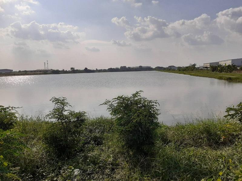 ขายที่ดิน 63 ไร่ 230 ตรว. ถนน 3075 ต.บางพลีใหญ่ อ.บางพลี จ.สมุทรปราการ 5