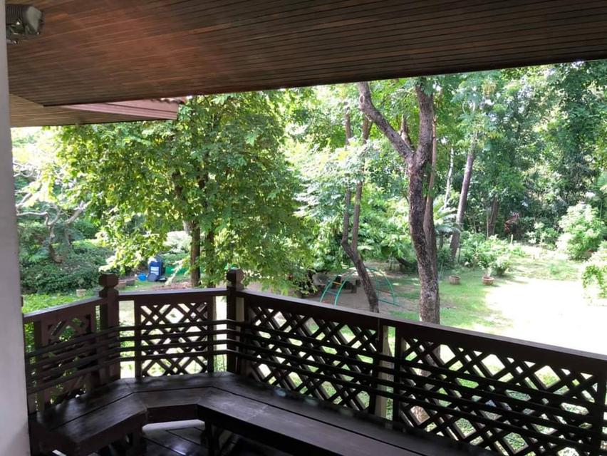 ขายบ้านเดี่ยววชิรธรรมสาธิต ปุณณวิถี สุขุมวิท101/1 ที่ดิน 1ไร่ 2งาน แปลงสวยมาก ใกล้ BTSปุณณวิถี อุดมสุข ใกล้ทางด่วนบางนา สุขุมวิท62 ออกศรีนครินทร์ 2