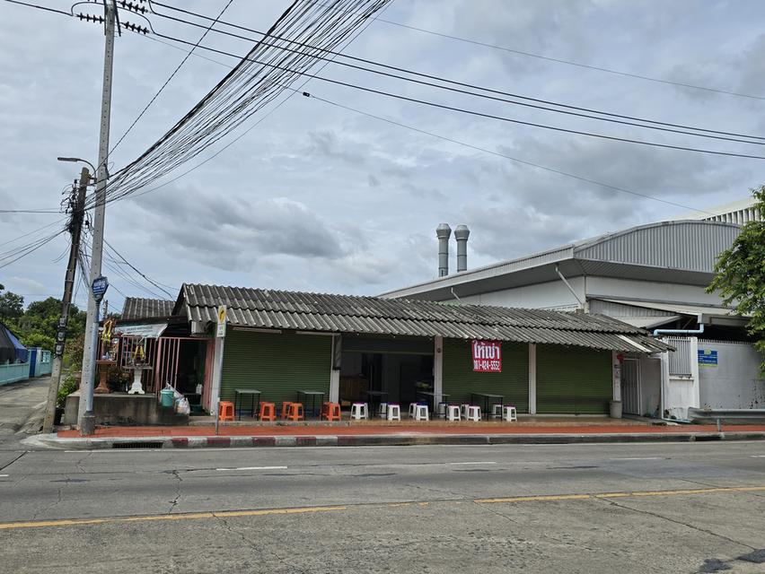 ห้องแถวพร้อมบ้านติดถนน 1