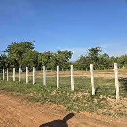 ที่ดินแบ่งขายต.นาฝายชัยภูมิตามงบ 2