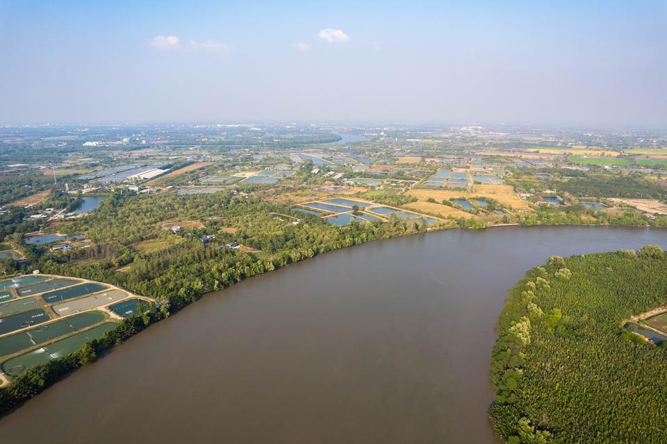 ขายที่ดิน ติดแม่น้ำบางปะกง เนื้อที่ 18 ไร่ 2 งาน 39 ตารางวา ตั้งอยู่ที่ ต.บางกรูด อ.บ้านโพธิ์ จ.ฉะเชิงเทรา 4