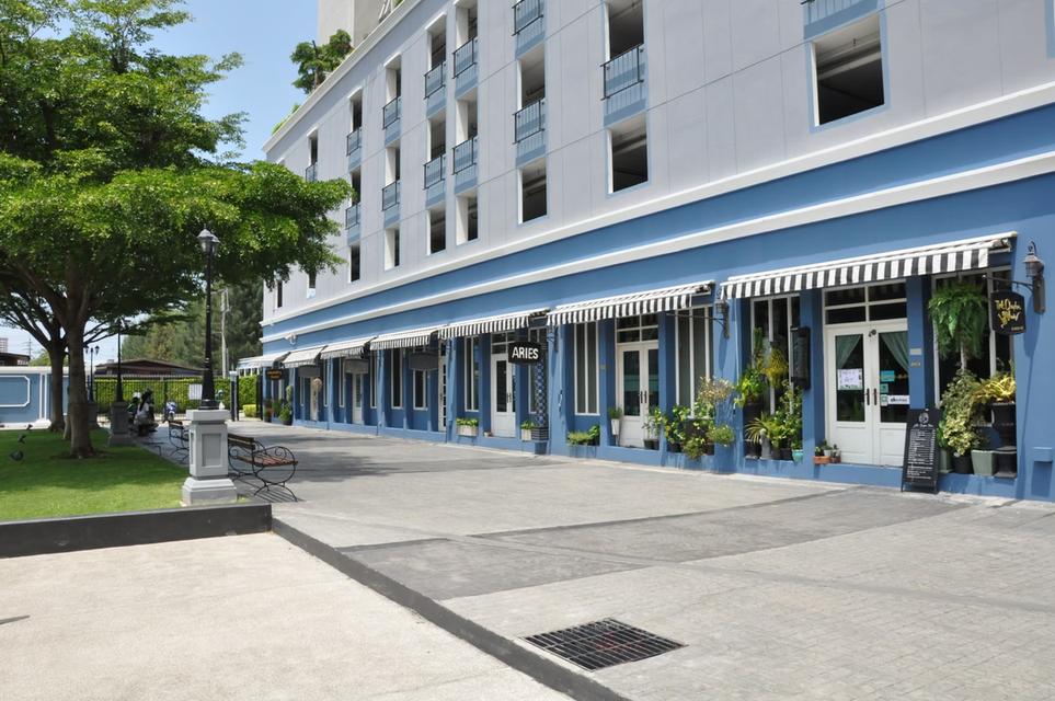 Chapter One Modern Dutch 8