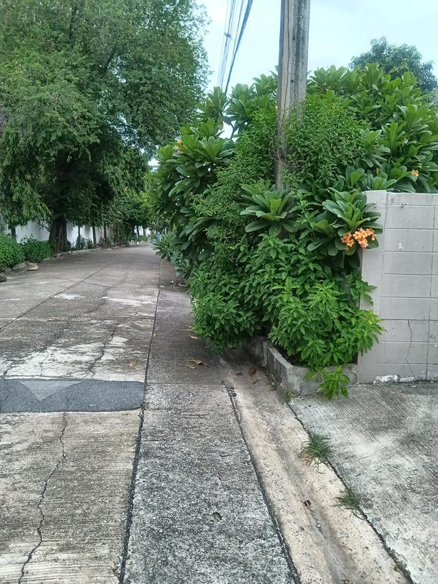 ที่ดินเปล่า 109 ตรว ใกล้ BTS สายหยุด 2