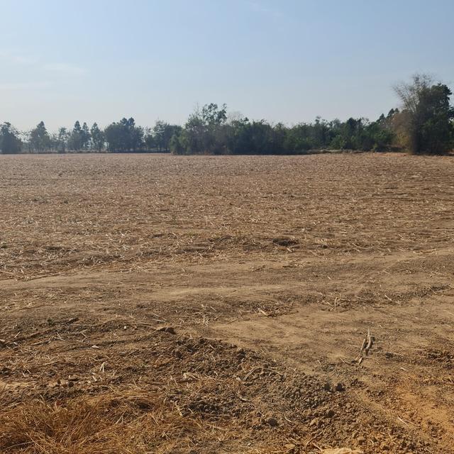 ขายที่ดิน 45 ไร่ พื้นที่เขตเศรษฐกิจพิเศษสระแก้ว 4