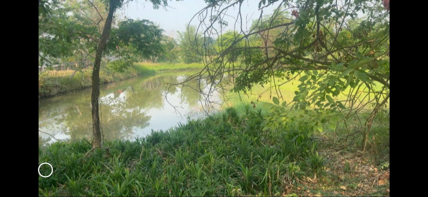 ที่ดินจังหวัดหนองคาย 3