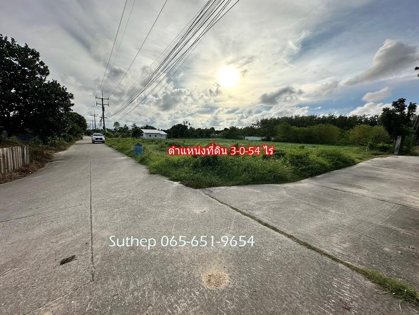 ขายที่ดินถมแล้ว 300 ตารางวา ใกล้สุขุมวิท 250 เมตร ไฟฟ้าและประปาพร้อม เพ ระยอง 13