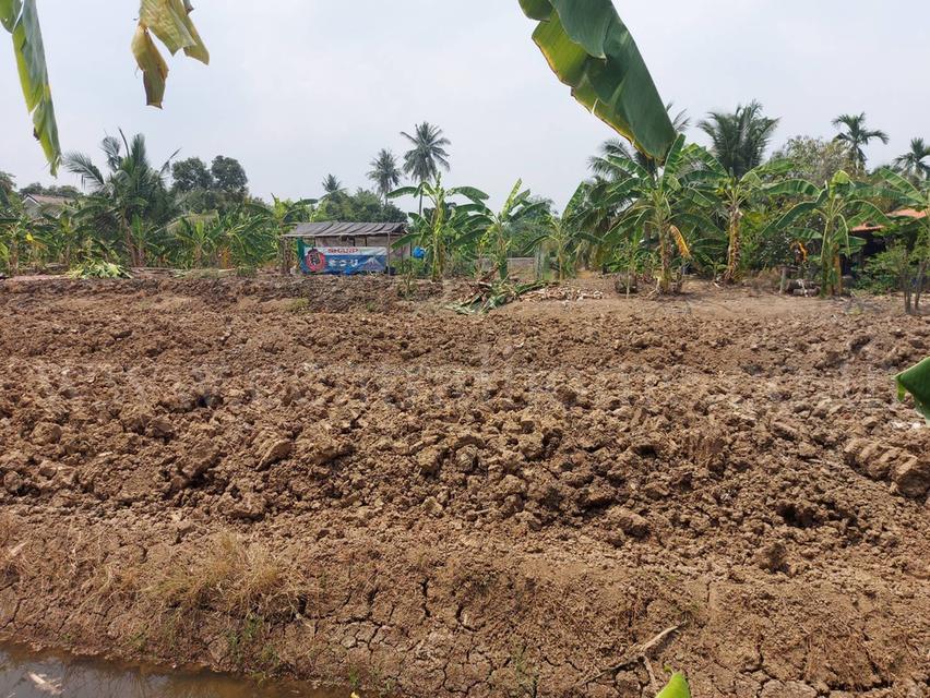 ที่ดินเปล่า 2 - 1 - 61 ไร่ ซอยบางรักใหญ่ 1 นนทบุรี ทำเลดี 2