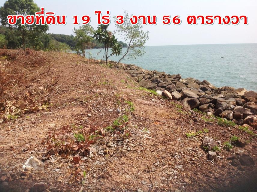 ขายที่ดินสวย ติดทะเล 19 ไร่ 3 งาน 56 ตารางวา 1