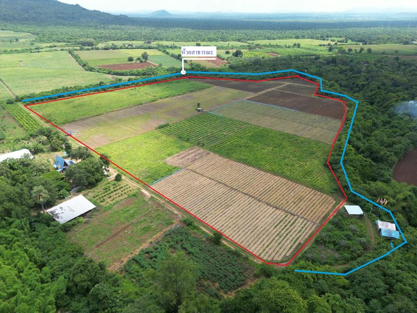 ขายที่ดิน 42 ไร่ วังดง เมืองกาญจนบุรี ติดน้ำ วิวเขา ล้อมรอบด้วยธรรมชาติ 4