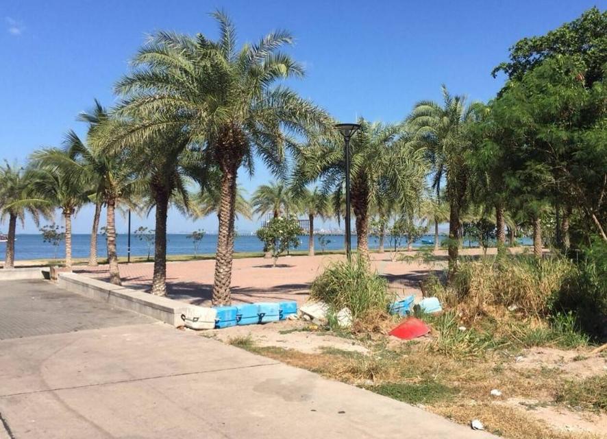 ที่ดิน ริมหาดกระทิงลาย(บางละมุง)พัทยา เนื้อที่่ 2-0-88 ไร่ แปลงหัวมุม 2