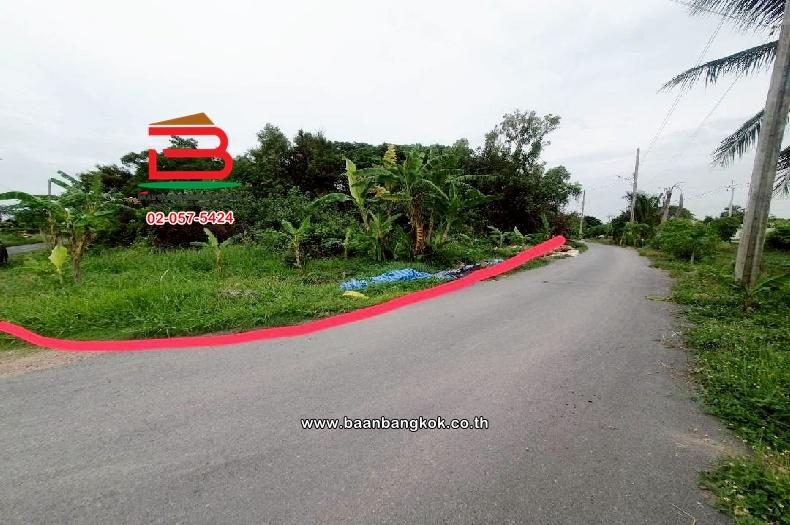 ที่ดินเปล่า ติดซอยสมหวัง เนื้อที่ 357 ตร.ว แขวงเจียระดับ เขตหนองจอก(เจียระดับ) กรุงเทพมหานคร 4