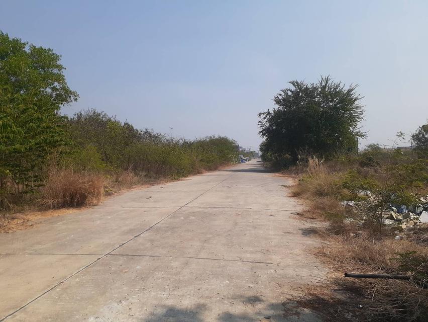 ที่ดินติดถนน2ด้านแบ่งขายอยู่ห่างอนามัยคลองโยง2 พุทธมณฑล